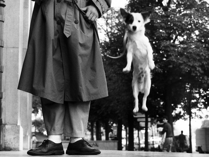 Illustration for article titled Even In The 1900s, Humans Were Obsessed With Photos Of Dogs In Clothes